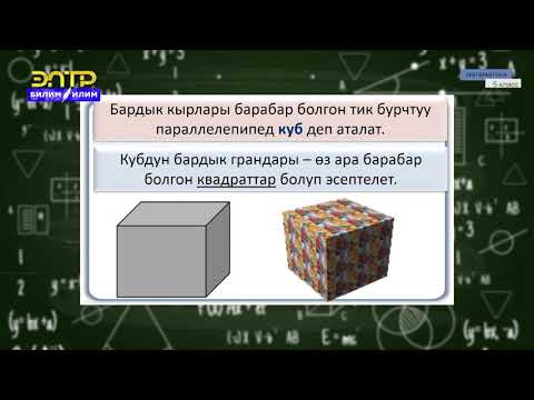 Video: 0,5 куб шагылдын салмагы кандай?