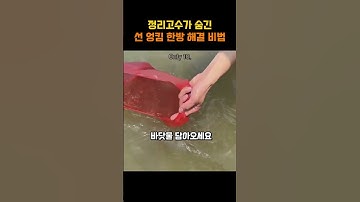 정리고수가 숨긴 선 엉킴 한방 해결 비법