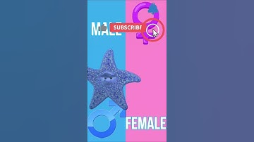 Finding Nemo GenderSwap Edit Shorts ❤️ Finding Dory ❤️ Nemo ❤️ Dory ❤️ Marlin ❤️ Gill