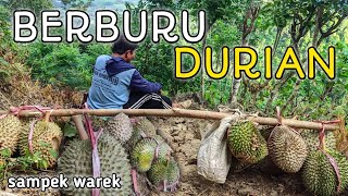 BERBURU DURIAN DAN MAKAN SEPUASNYA SAMPE WAREK, WATULIMO TRENGGALEK (mumpung musim durian)