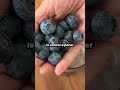 🚨 NUNCA MEZCLES LINAZA CON CHÍA… A MENOS QUE QUIERAS APAGAR EL HAMBRE TODO EL DÍA 😳🔥