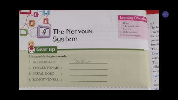 science-class-5-ch-4-The nervous system- part-1