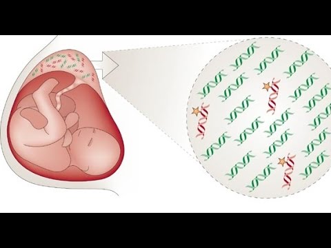 Anne karnındaki bebekte "ne var ne yok gösteren" bir kan testi var mı? -  fetal DNA (NİPT) testi - YouTube