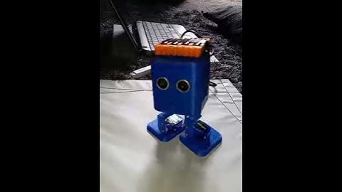 3d Printed BoB the biped
