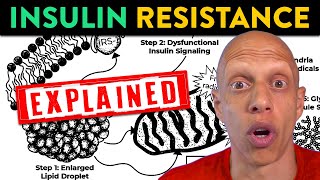 What Causes Insulin Resistance: Unpacking the Effects of Excess Fat |  Mastering Diabetes