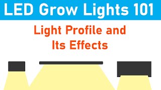 LED Grow Lights 101: Light Profile, What Type And Where?  (Episode 2)