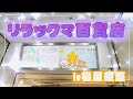 【リラックマ】リラックマ百貨店で総額⭕️⭕️円の爆買いグッズを紹介☆#リラックマ #開封 #かわいい