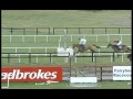 Free Bets - YouTube