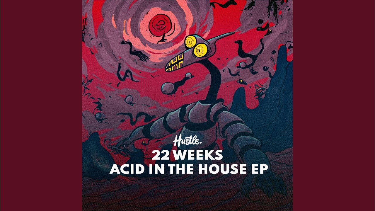 在 YouTube 上观看 Acid In The House