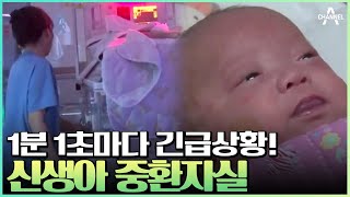 [#관찰카메라] 1g씩 자라는 희망! 한 순간도 긴장의 끈을 놓을 수 없는 신생아중환자실