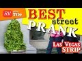 Best Street Prank in Vegas