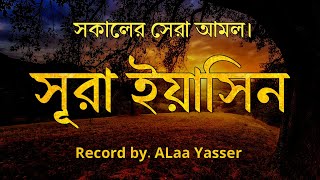 সুন্দর একটি সকাল শুরু করুন। সূরা ইয়াসিন। (SURAH YASIN) Best recitation by Alaa yasser
