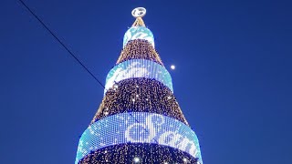 Árbol de Navidad plaza Salvador del mundo