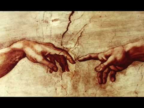 عقل بيهوده سر طرح معما دارد فاضل نظري کيميا خ منفرد