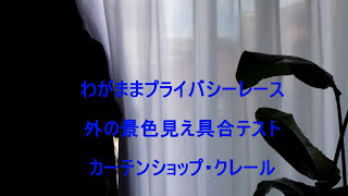 中から見えて外から見えないレースの実証実験