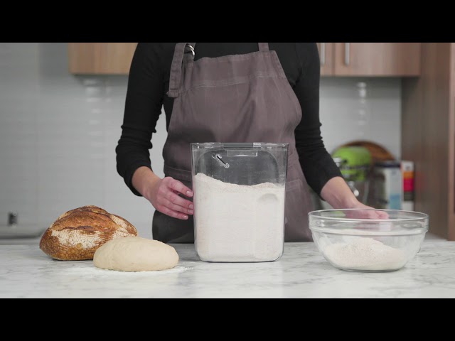 Progressive ProKeeper+ Flour Storage Container 