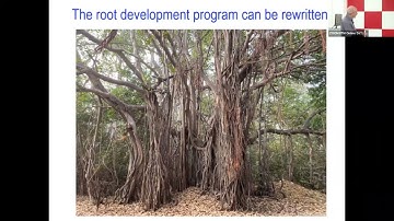 Introduction to Synthetic Biology - Day 10 Part 2 #swayamprabha #ch17sp