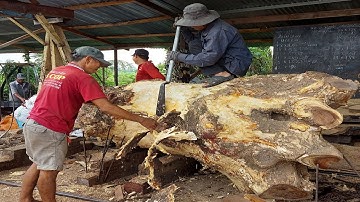 Quy Trình Cưa Đứng Gốc Còng Siêu Khủng / Super Big Cuffs Standing Saw Process | Tập 718