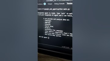 I built an AI Agent that analyzes your Google Ads for you