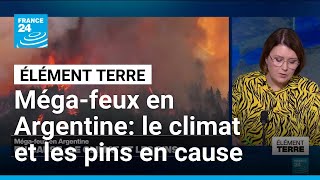 Les causes environnementales des méga-feux en Argentine • FRANCE 24