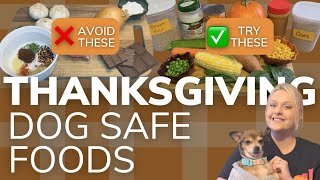 Thanksgiving Foods Your Dog Should Avoid (PLUS Food That is Safe and Dog Friendly Recipes!) by Wag! Dog Walking 195 views 1 year ago 3 minutes, 38 seconds