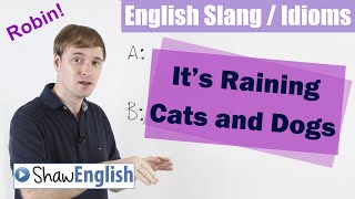 English Slang  Idioms: It's Raining Cats and Dogs