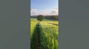 سورة المائدة الآية 24 | #quran #اكسبلور #قرآن #explore