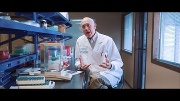 The Omega 3 Index is the most studied test