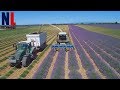 Cool and Powerful Agriculture Machines That Are On Another Level Part 6