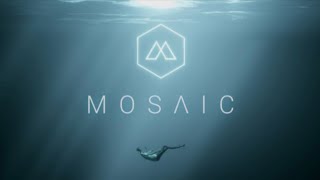 ТРУДОВЫЕ БУДНИ:MOSAIC #1