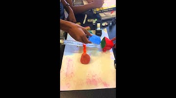 Enzyme  Model Video.