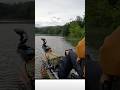 Big Bass Buzzbait Bite at Big Hill #bizzbaits #bassfishing #randomlikes