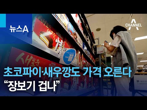 초코파이·새우깡도 <strong>가격</strong> 오른다…“장보기 <strong>겁나</strong>” | 뉴스A