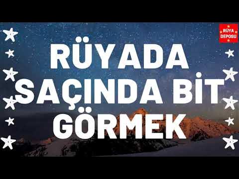 Rüyada Saçında Bit Görmek Ne Anlama Gelir Rüya Tabiri [Rüya Deposu