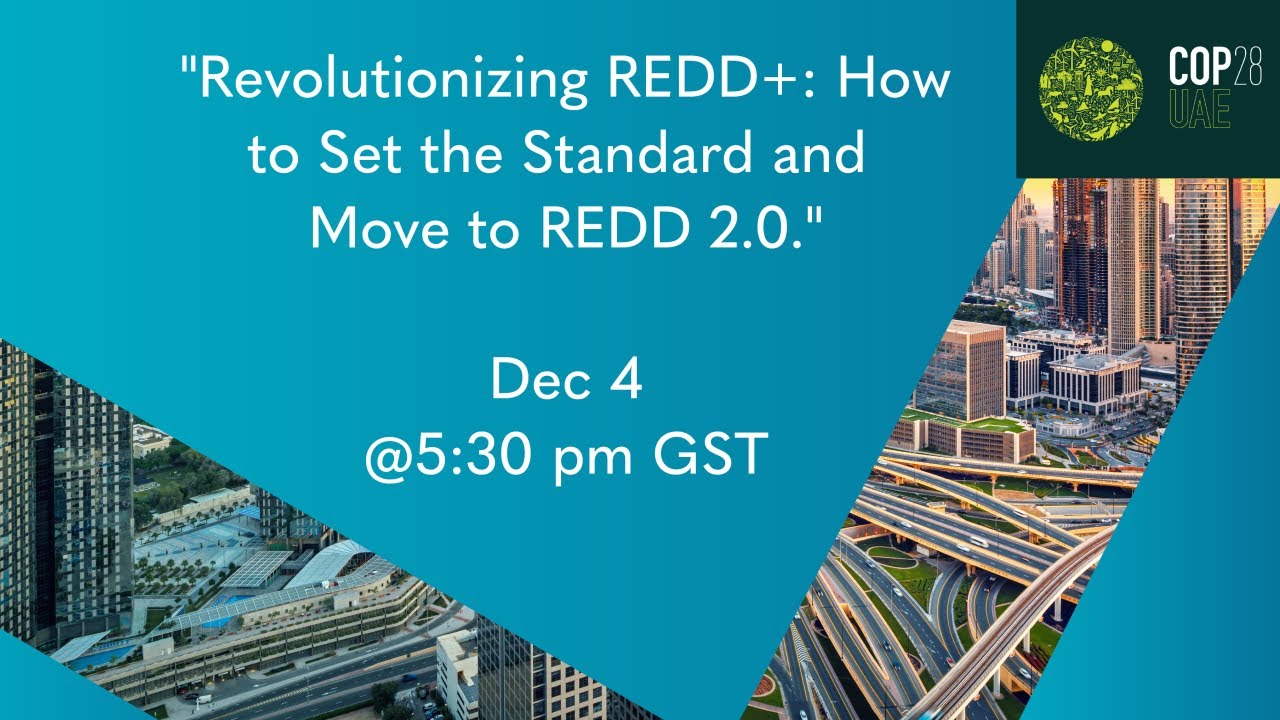 COP28 Side Event - Revolutionizing REDD+: How to Set the Standard and ...