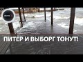 Ураганы «Хендрик» и «Игнатца» топят машины и валят деревья: Выборг и Петербург в воде