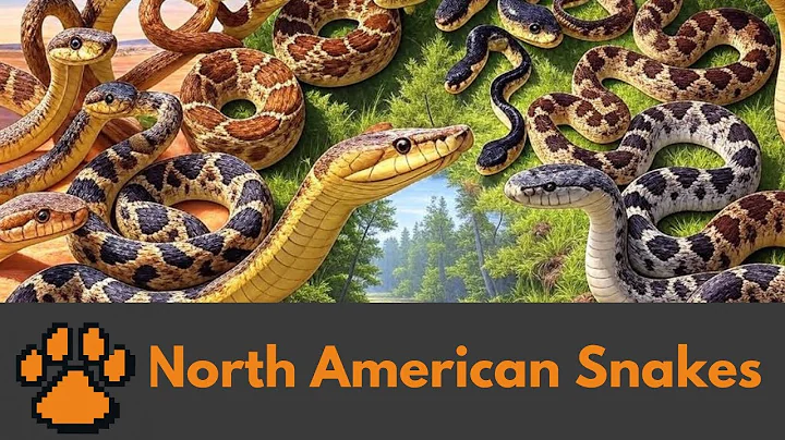 Top 8 Venomous Snakes in North America: A Deadly Countdown!
