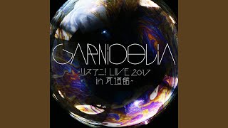 ambiguous LIVE version (Lisani! LIVE 2017 in Budokan)