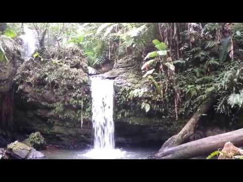 Juan Diego Falls in El Yunque rainforest, Puerto Rico - lower falls