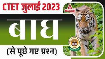 CTET CLASSES 2023 | CTET EVS | बाघ से पूछे गए प्रश्न | By Anupam Bhardwaj