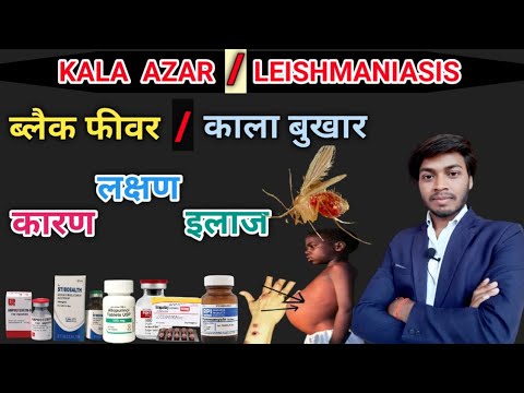 Kala Azar: Leishmaniasis | Black Fever | काला अजार , काला बुखार या लीशमैनियासिस कारण, लक्षण, इलाज |