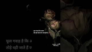 How I felt when Shree Krishna says🙏🚩❤️#shreekrishna #spritual #sanatandharma #qoutes#shortsfeed