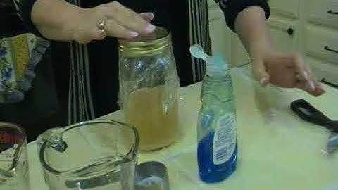 DIY Fly Trap - Joni Hilton