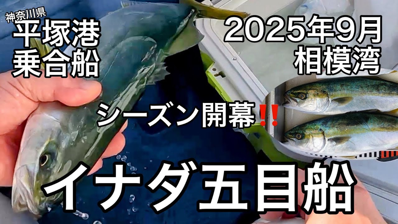 相模湾でイナダ五目釣り‼️ イナダ五目船‼️ 乗合船