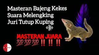 1 🔴 Top Masteran Bajeng Kekes / Tupai Kekes Materi Lomba Juara