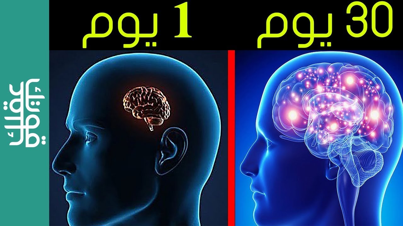 4 طرق مذهلة و فعالة لزيادة قوة دماغك و تركيزك!