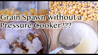 Open Air Grain Spawn Attempting Lactic Acid Ferment Pasteurization with Corn for Growing Mushrooms