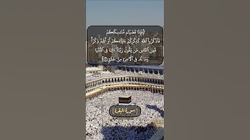 سورة البقرة الآية ١٩٩ الى ٢٠٢ بصوت الشيخ محمد صديق المنشاوي