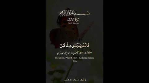 سوره مریم(آیه ۲۳) قاری شریف مصطفی