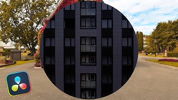 Oval iris Davinci Resolve 20